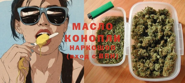 СК Снежногорск